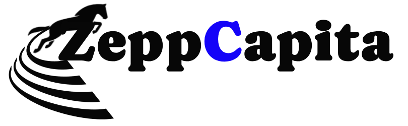 Zepp Capita